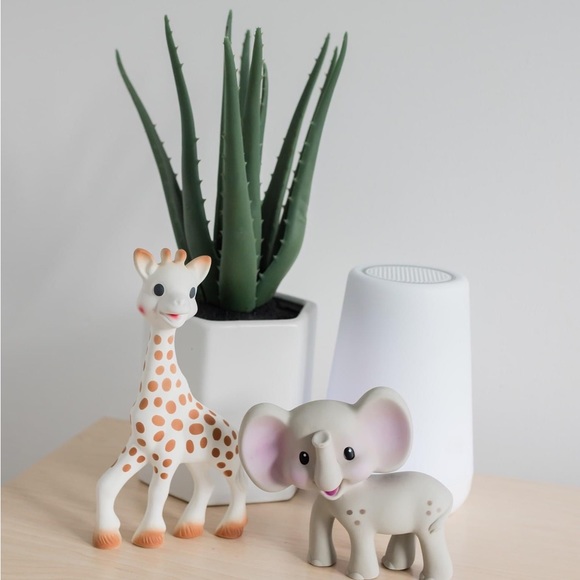 Target Other - Target faux plant.